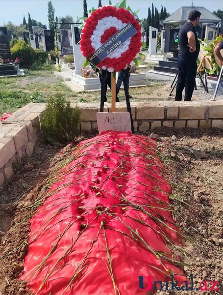 Musiqiçini maşın vurub öldürdü - Foto
