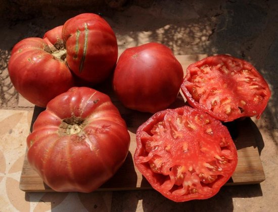 ÇOX YEYİN: Xərçəngin düşməni pomidor...