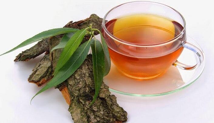 Söyüd tumurcuğu çayı ilə bu xəstəliklərdən azad olun - İndi tam mövsümüdür