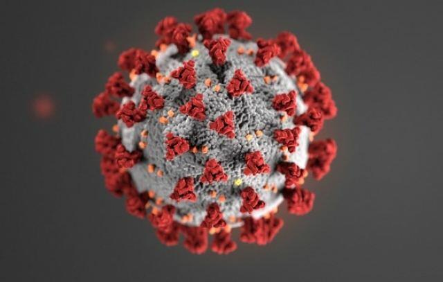 Bu ölkədə koronavirusun yeni variantı aşkarlandı
