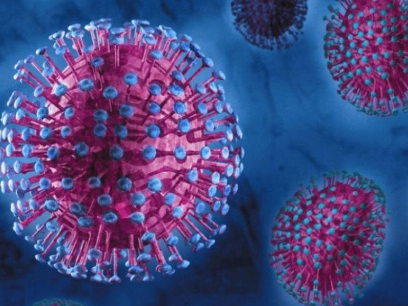 Koronavirus niyə tüğyan edir?