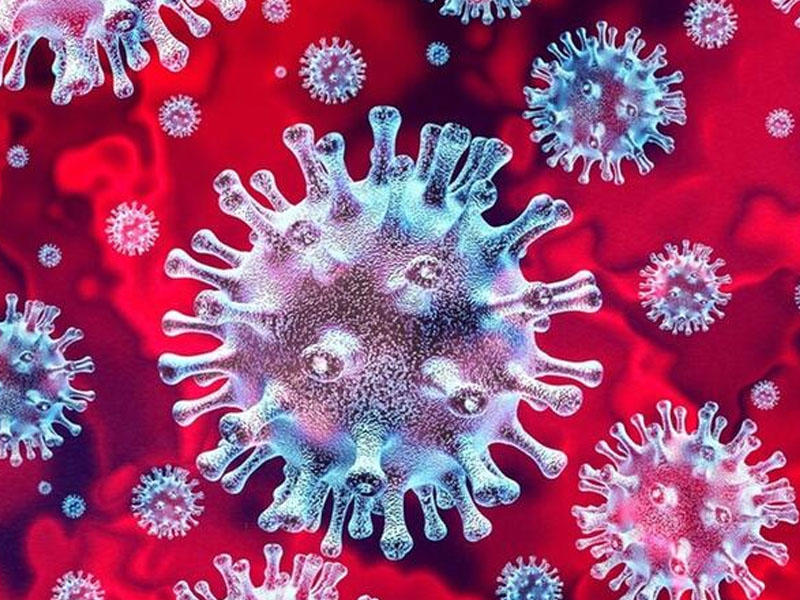 Koronavirusa qarşı immun sistemimiz yarana bilər? - Mütəxəssislərdən ümidverici açıqlamalar