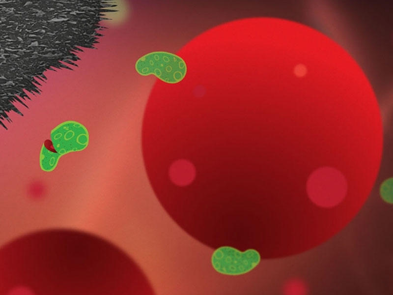 Tədqiqatçılar infeksiyanın qarşısını ala bilən nanoplastinkalar hazırlayıblar