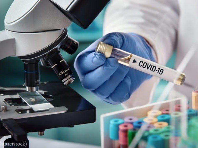 Şanxayda koronavirusu neytrallaşdıran preparatın sınaqları başlayıb