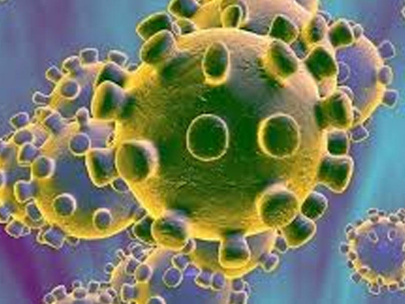 Koronavirus zamanı immuniteti gücləndirmək üçün 20 qəpiklik çarə - Hər gün yeyin!