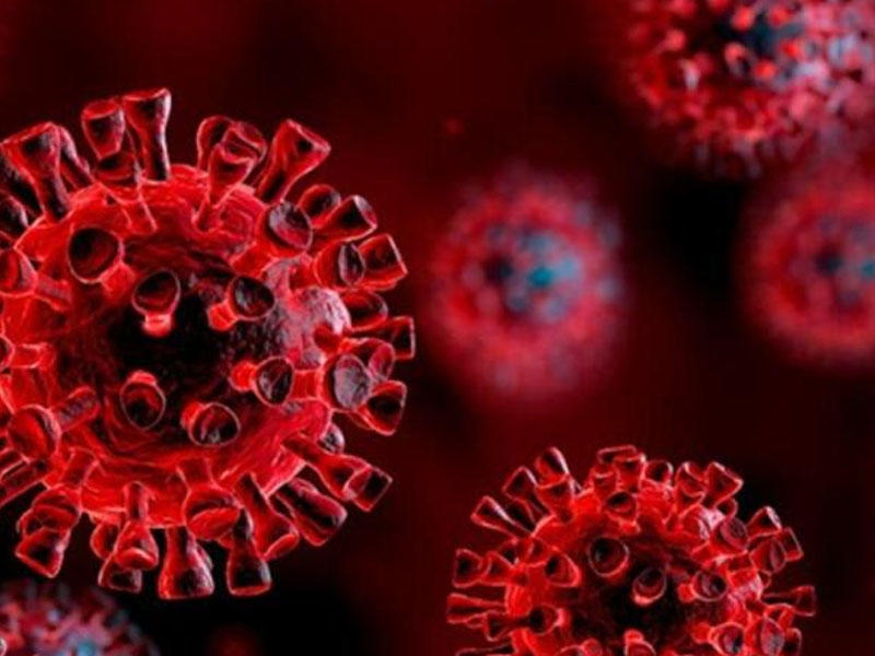 Koronavirus hüceyrələrlə "zombi" kimi davranır - FOTO