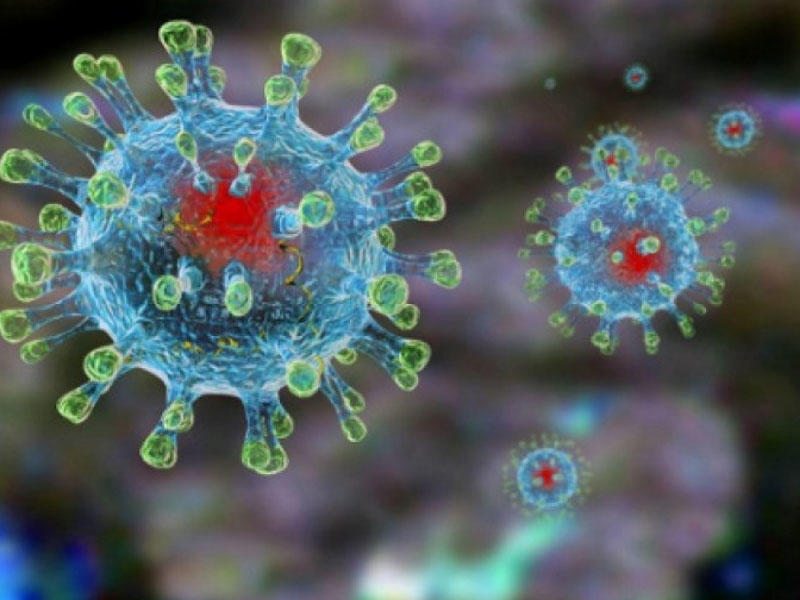 Alimlər koronavirusdan ölüm hallarına genetikanın təsirini araşdırıblar