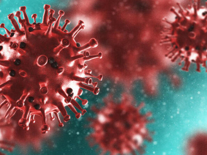 Koronavirusu 3 günə sağaldan metod tapıldı