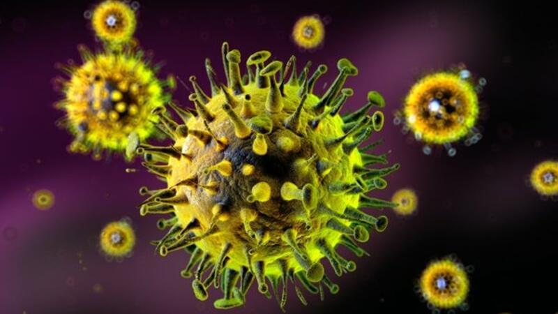 Koronavirus xəstələrinin sürətlə sağlamasına nə kömək edir?