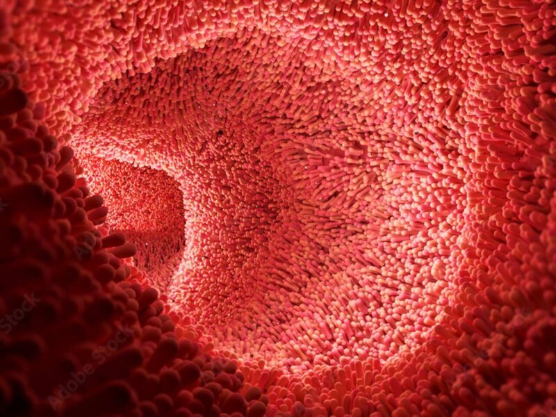 Orqan qədər vacibdir - Balans pozulanda xəstəliklər ağır yaranır