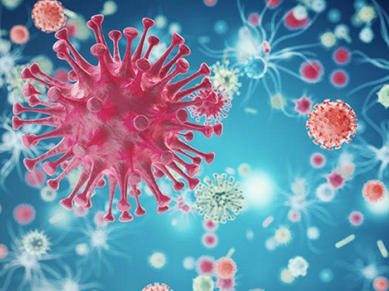 Koronavirusun mutasiyası: Xəstəliyi daha yüngül keçirməyə imkan verir...