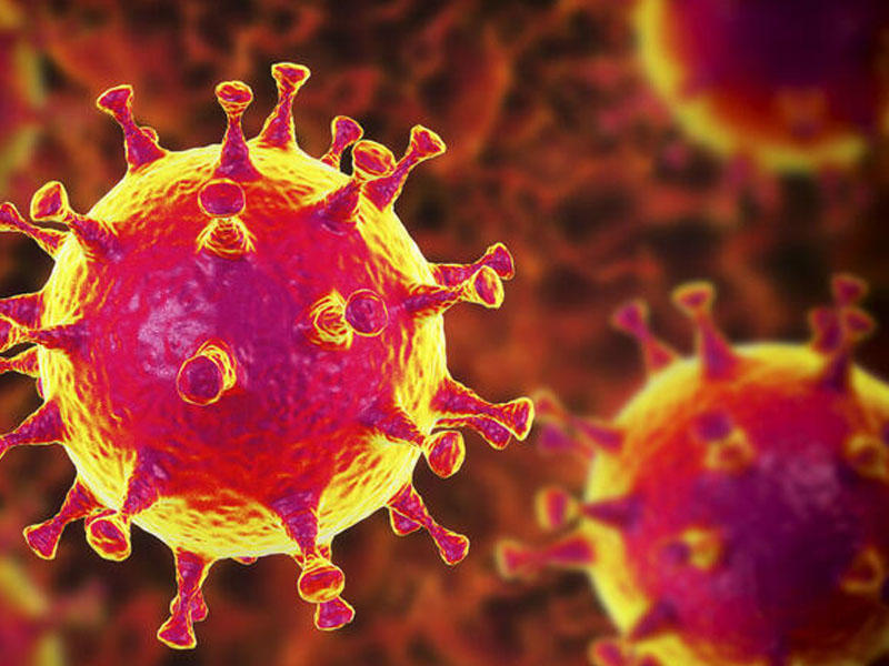 Koronavirusa qarşı GÜCLÜ SİLAH - Peyvənddən daha effektlidir