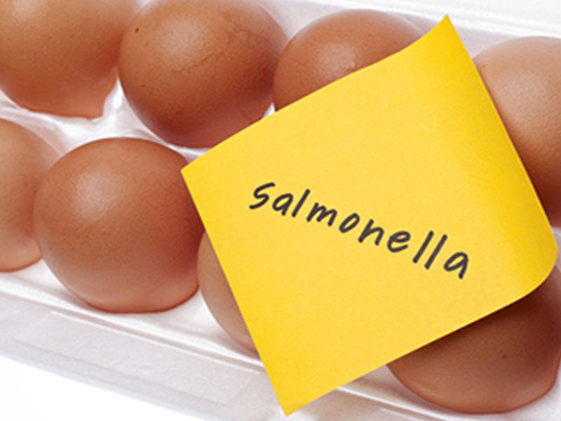 Salmonella xəstəlikləri