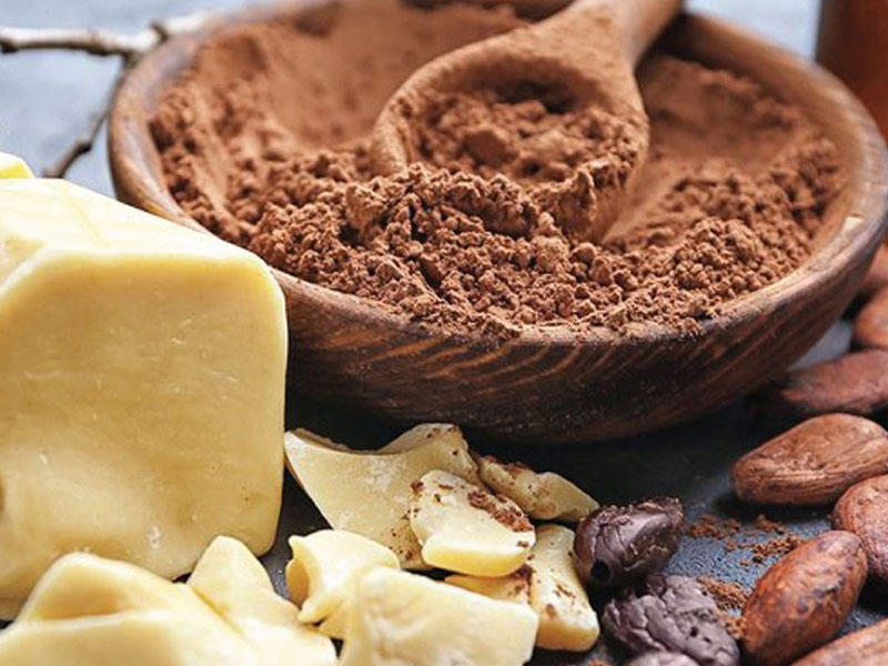 Kakao yağının faydaları