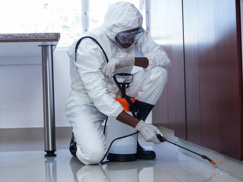 Dezinfeksiya necə aparılmalıdır, nələr orqanizmə ziyan vura bilər?