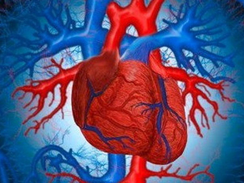 Hipertrofik kardiomiopatiya