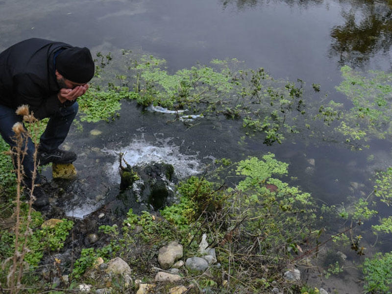 Bu içkinin insanı Altsheymer xəstəliyindən qoruduğu təsdiqləndi