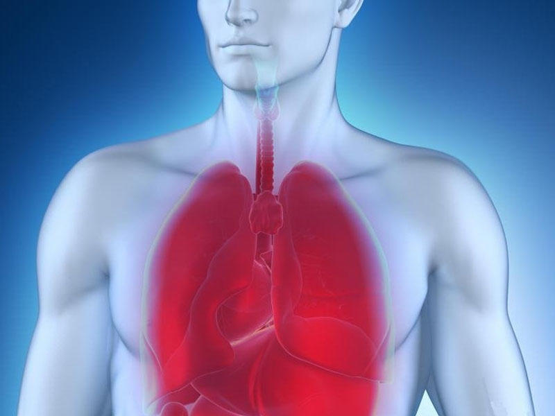 Toksik fibrozlaşan alveolit