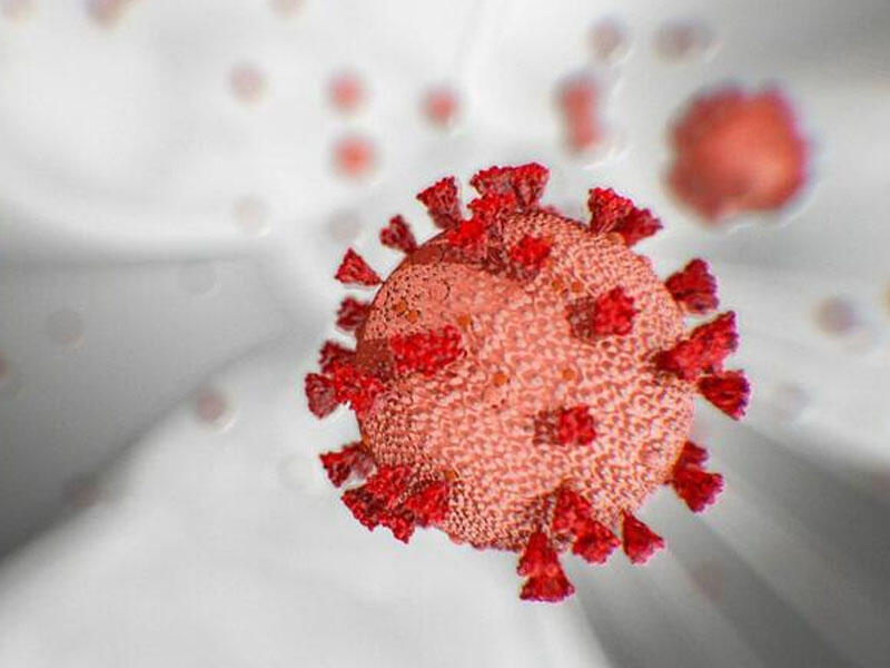 Soyuq hava koronavirusu sürətlə yayır? - Virusoloq açıqladı