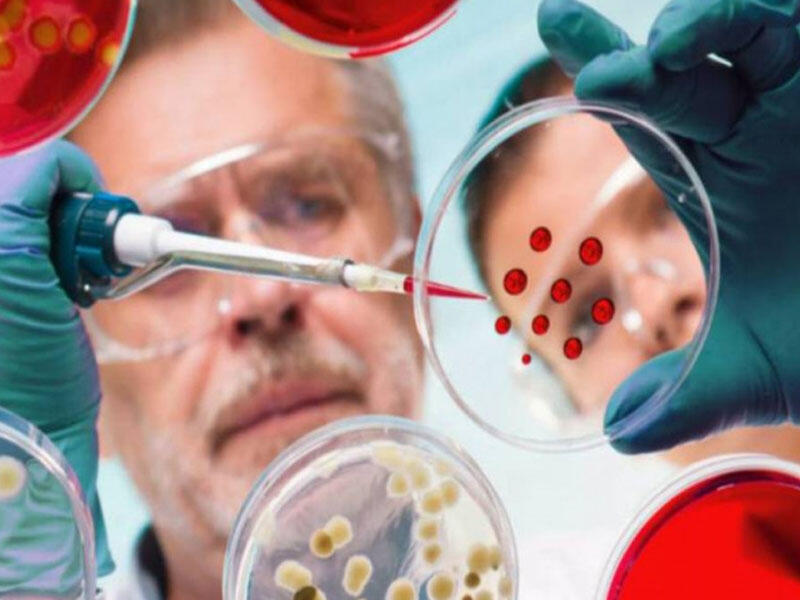 Koronavirusun ikiqat mutasiyalı növü tapıldı