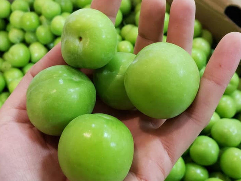 Alça yedikdən sonra mütləq bunları edin