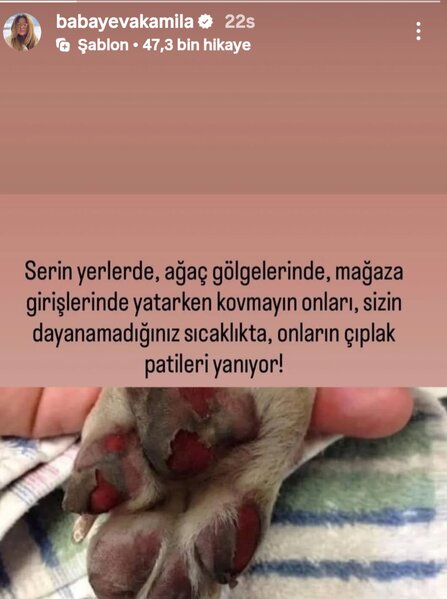 Kamilədən mesaj: 'Onları qovmayın