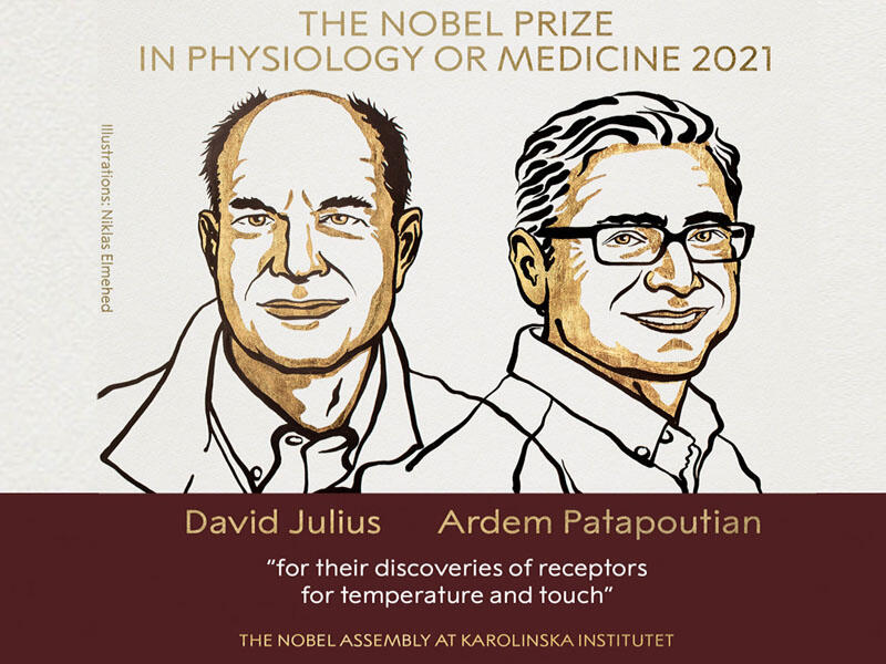 Nobel mükafatı qaliblərinin adları açıqlanıb