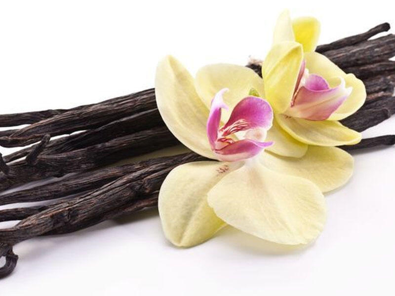 Vanil - həm ədviyyat, həm də dərman