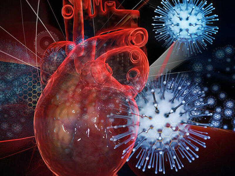 Alimlər koronavirusun qarşısını alan MƏHSULU TAPDI