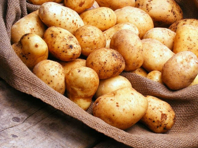 Kartofun ağciyərə inanılmaz faydası