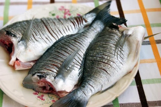 Kiçik sirr: Balığı sümüklərsiz qızartmağın qaydası