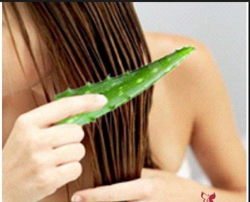 Saçınızı hamarlaşdıran və düzləşdırən ən sağlam təbii jele-Aloe