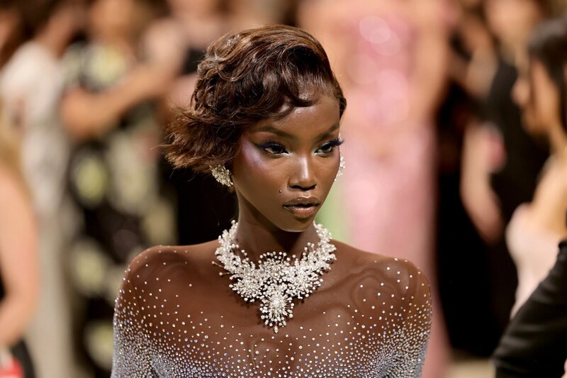 Dünyanın ən bahalı modellərindən Anok Yai xəstəxanaya yerləşdirilib