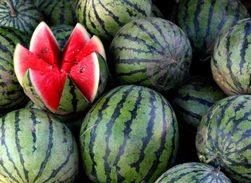 Qarpızdan zəhərlənməmək üçün nələrə diqqət etmək lazımdır?