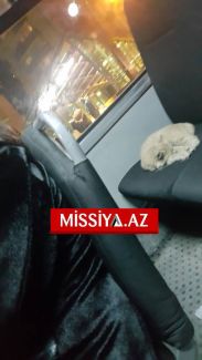 Bakıda avtobusa minən "sərnişin" hamını təəccübləndirdi - FOTO