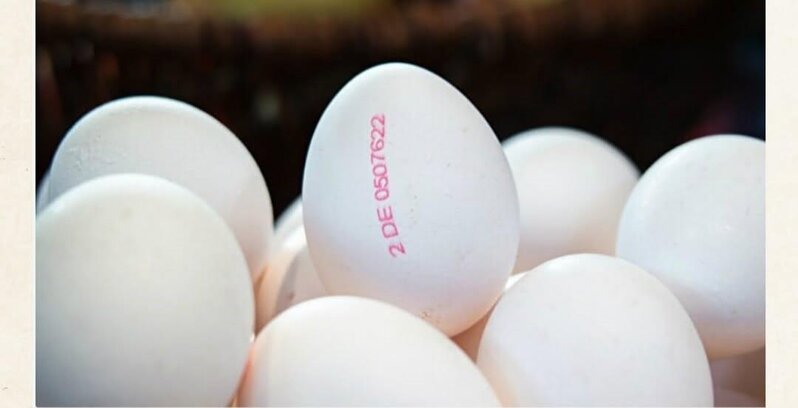 Yumurta alarkən mütləq koduna baxın - FOTO