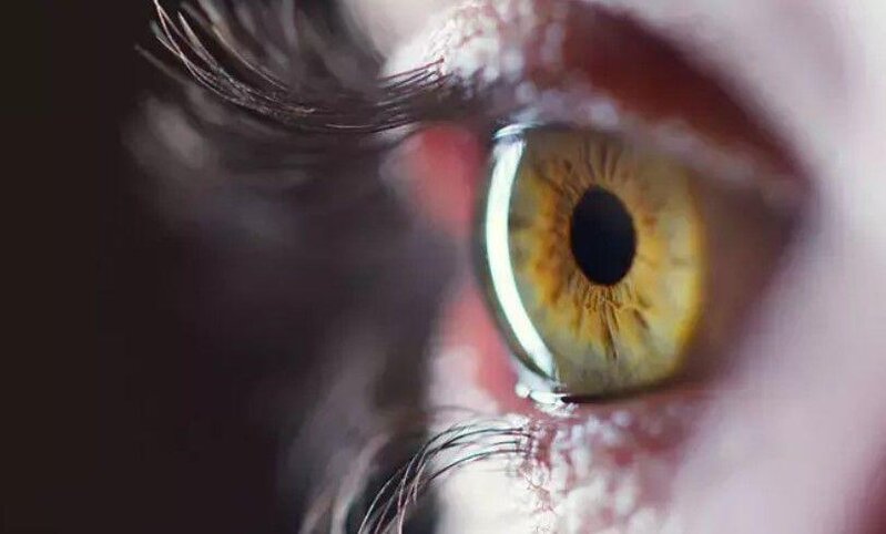 Allergiya mövsümü başladı: Gözlərinizin qorunma yolları