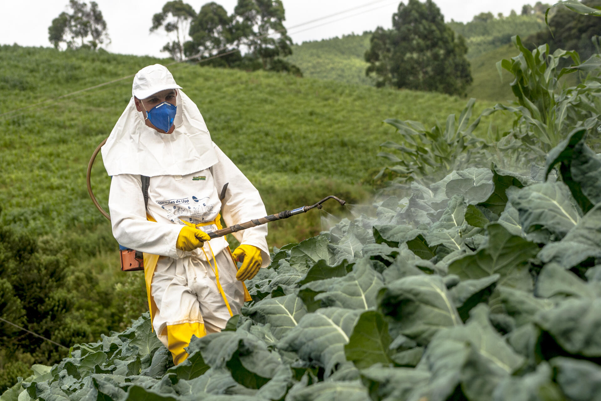 Pestisidlərlə işləyən zaman necə qorunmalı?