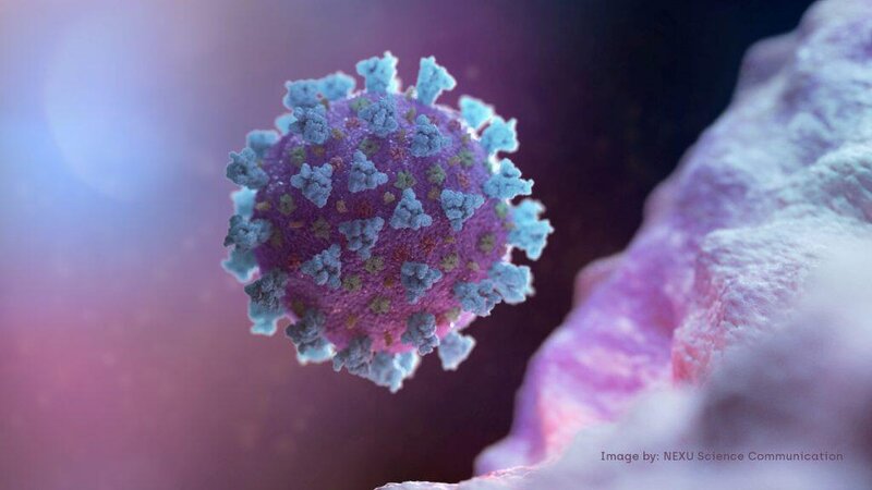 Koronavirusla bağlı narahatlıq doğuran AÇIQLAMA: Mövsümi infeksiya