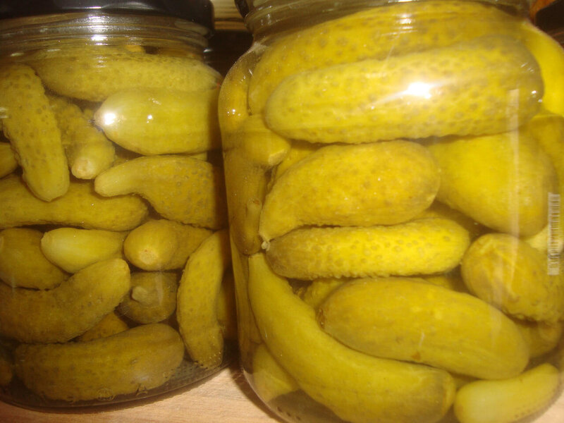 Turşu yeməyin xərçəngə qarşı FAYDALARI