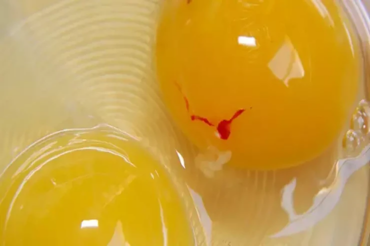 Qırmızı ləkəli yumurtalar zəhərlidir?
