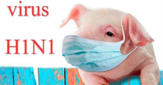 XƏBƏRDARLIQ:"Bizdə də "donuz qripi" ehtimalı var..."