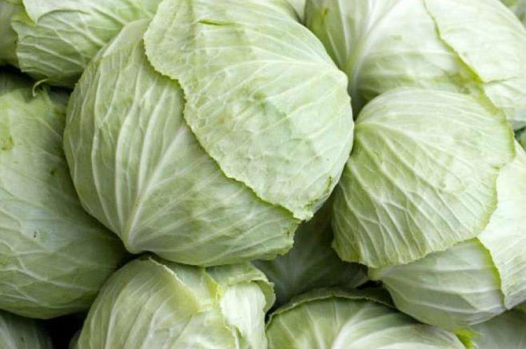 Kələm bir çox xəstəliklər zamanı əvəzsiz qida mənbəyidir