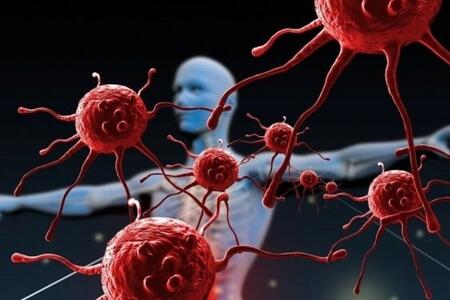 Dünyanın ən təhlükəli 10 virusu: Koronavirus onların yanında toya getməlidi