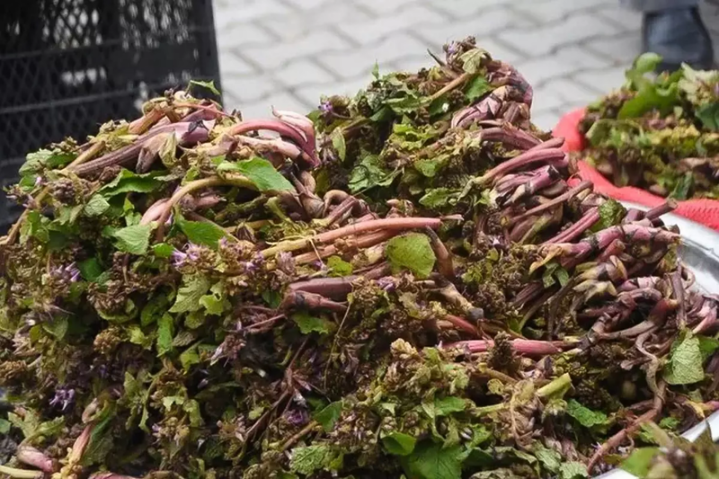 Müharibəyə gedən əsgərlər istifadə edirmiş - Faydası say-say bitmir