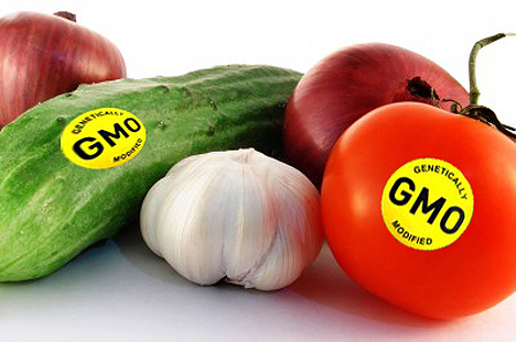 Azərbaycana hələ də dəhşətli xəstəliklər yaradan GMO məhsullar gətirilir