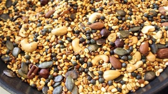 Qovurğanın bilmədiyiniz faydaları