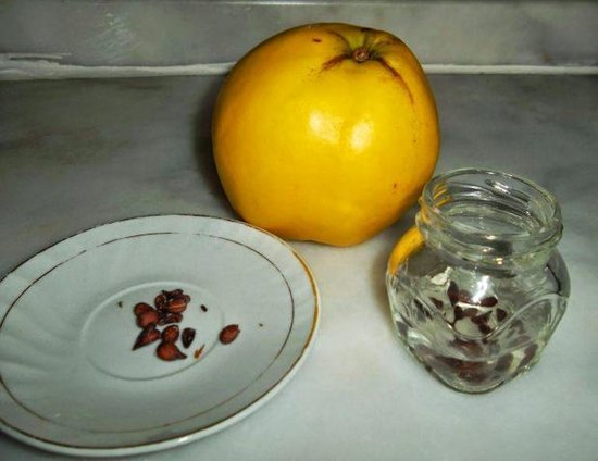 Bu meyvənin tumlarını qətiyyən atmayın - Möcüzəvi faydaları - FOTO