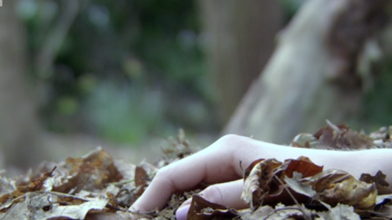 Azərbaycanlı biznesmenin uşaqlarını öldürdülər və...- Rusiyada ŞOK OLAY Kriminal