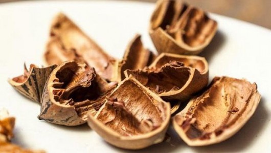 Damarları təmizləyən, qurdları öldürən, yaraları sağaldın QOZ QABIQLARININ DƏMLƏMƏSİ